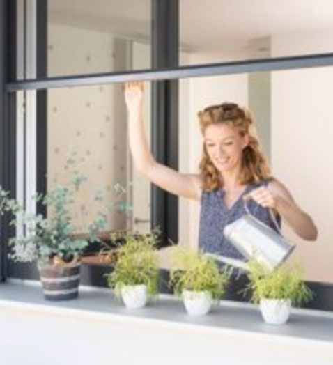 Insektenschutz von Seremo